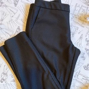 Sam Edelman Pants